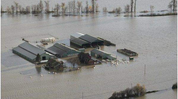 vancouver cea mai puternica furtuna din ultimul secol a izolat orasul