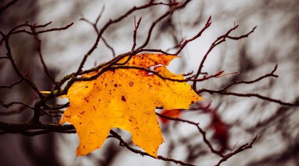 vremea in urmatoarele 2 saptamani anm prognoza pe regiuni zilele perfecte pentru a merge la munte