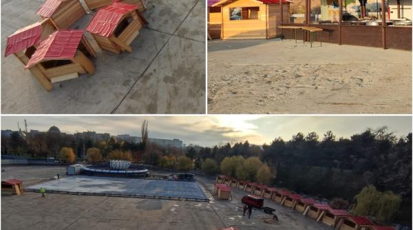 ciucu ii ia fata lui nicusor dan cu targul de craciun din drumul taberei