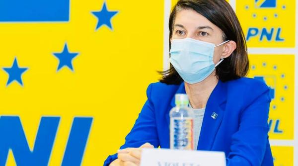violeta alexandru a demisionat din pnl am simtit multa rautate dorinta absurda de razbunare
