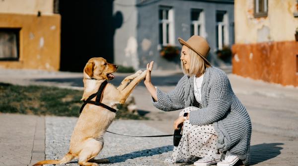 horoscop 25 noiembrie berbec taur gemeni rac leu fecioara weekend minunat pentru o zodie schimbare benefica