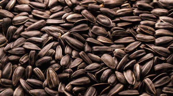 a fost inventat spargatorul automat de seminte