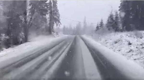 cod portocaliu de ninsori si vant la munte