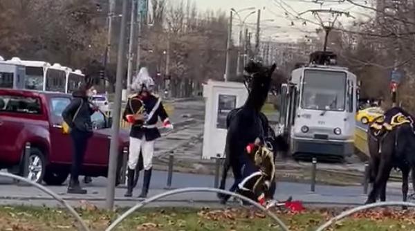 incident jenant de ziua nationala un jandarm a cazut de pe cal in timp ce incerca sa l incalece video