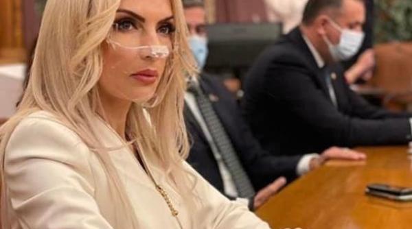 unbr intervine in cazul laurei vicol blamarea activitatii profesionale a unui avocat este extrem de periculoasa