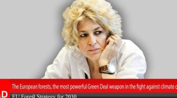carmen avram la interviurile dcnews despre politica agricola comuna si green deal care e viitorul agriculturii