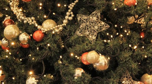 o familie din germania are 444 de brazi impodobiti si niciunul nu seamana cu altul