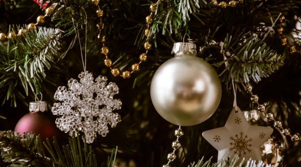 trucuri pentru ca bradul sa reziste pe toata perioada sarbatorilor de iarna