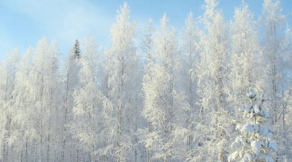 alerte meteo generala de ninsori si viscol la munte cum va fi vremea de craciun si revelion prognoza meteo si in bucuresti