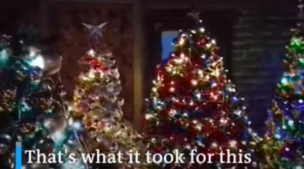 record de craciun cati brazi de craciun au incaput in casa unui cuplu german