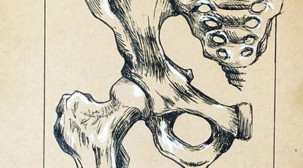 reconstructia organelor din zona pelvina o sansa la o viata normala pentru paciente medicul gabriel mitulescu daca putem facem intotdeauna o reconstructie