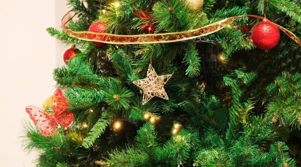 ce trebuie sa faci ca bradul de craciun sa reziste mai mult trucuri simple si foarte eficiente