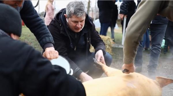 dan barna a taiat porcul video cand curata soriciul si bea tuica fiarta