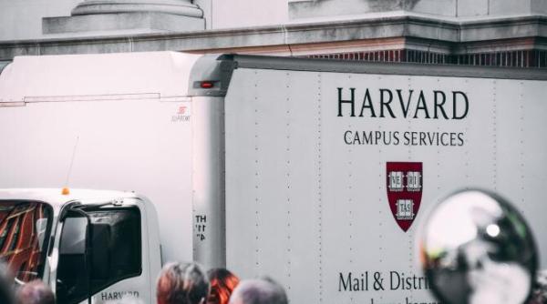 harvardul primeste doua romance deja fac performanta in domeniile alese