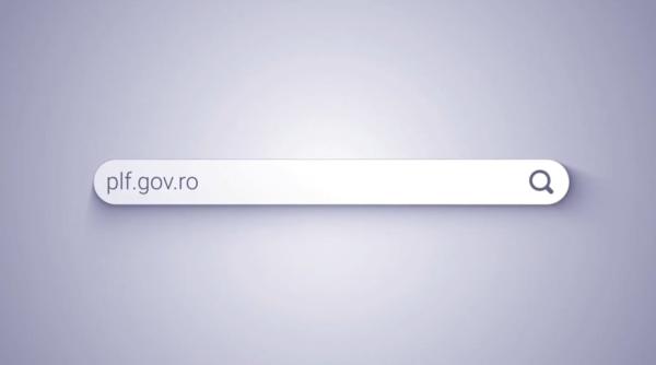 ministrul bode anunta amenzi automate pentru cei care nu completeaza plf la intrarea in tara