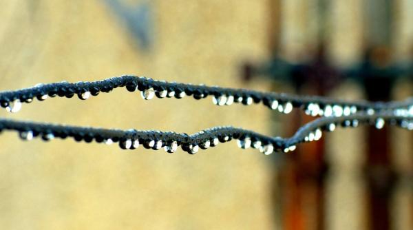 dupa ger vin ploile mihaela raicu meteorolog anm vremea se va incalzi