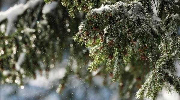 vremea de craciun 2021 florinela georgescu anm prognoza meteo video