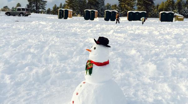 de ce nu mai avem ninsorile de odinioara  de sarbatori  florinela georgescu explica ce s a intamplat