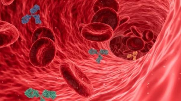 unele tratamente covid 19 pe baza de anticorpi monoclonali sunt mai putin eficiente in cazul omicron