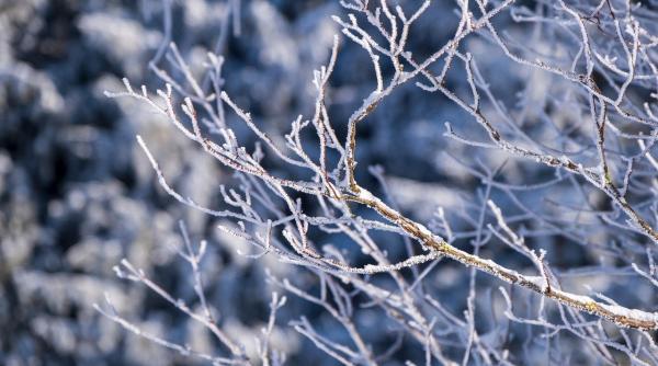 anm avertizari cod galben si portocaliu prognoza meteo speciala pentru bucuresti