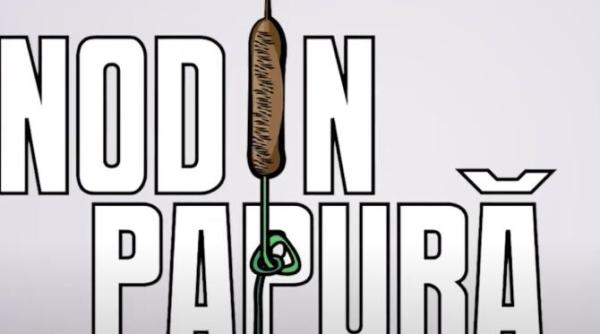 val valcu si alfred bulai analiza saptamanii la nod in papura