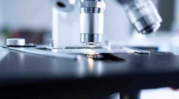 cercetatorii sud africani studiu incredibil despre omicron dupa avertismentul oms sporeste imunitatea distruge covid 19