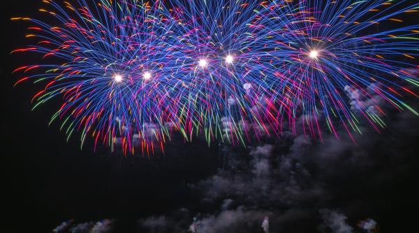 focurile de artificii si petardele stres pentru oameni si animale marius marinescu solutie apel la guvern