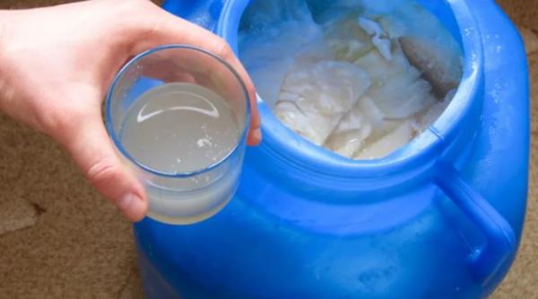 zeama de varza murata si diabetul de ce este recomandat acest remediu pentru tratarea afectiunilor