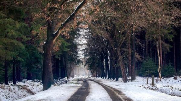 vremea se incalzeste elena mateescu anm din pacate va mai si ploua