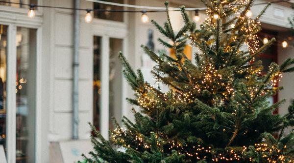 lista centrelor de colectare brazi de craciun din sectorul 6