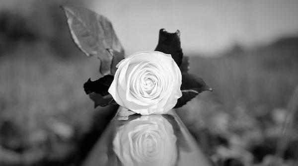 sinuciderea gest 100prc egoist cauzele ei explicate de psihologul radu leca reteta cinica familia nu poate anticipa