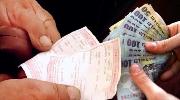 violeta alexanru toate veniturile brute trebuie luate in calculul pensiilor proiect