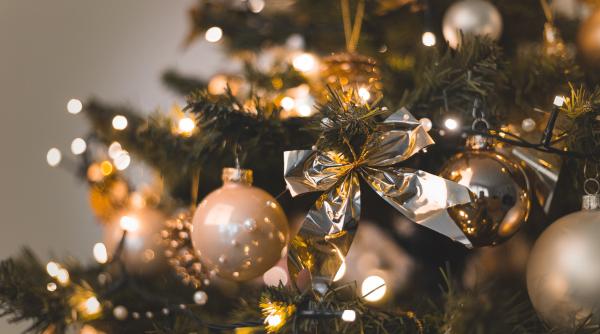 cand se despodobeste bradul de craciun