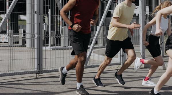 cate oase are corpul uman partea pasiva a aparatului locomotor