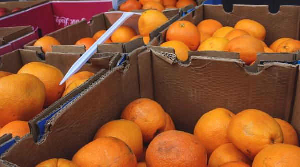 tone de portocale pline de pesticide vandute romanilor de sarbatori presedinte infocons pericol sa fie decontate analizele celor care le au consumat