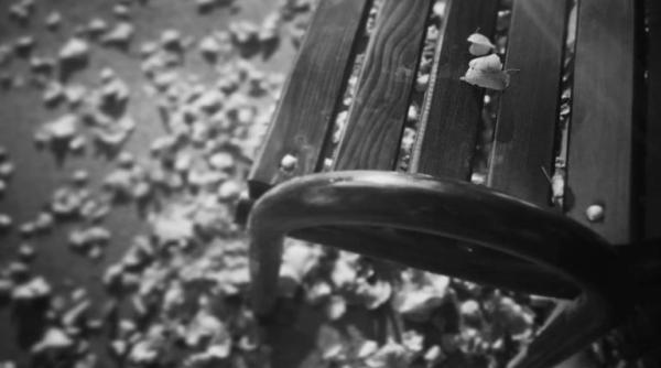 pe chipul unui bucuresti cenusiu cu locuitori inspaimantati festivalul a adus o pata de culoare amintiri din bucurestiul anilor 50 dupa moartea lui stalin