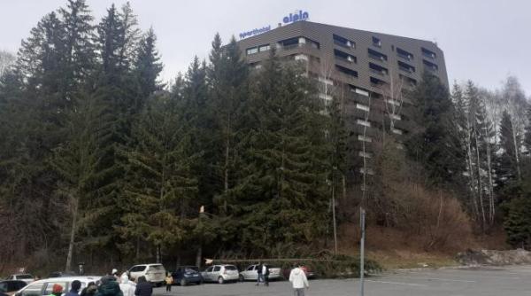 un brad a cazut peste masinile turistilor dintr o parcare din poiana brasov