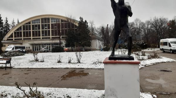 campionul uitat al romaniei zace in bucuresti fara ca lumea sa stie cine este nicolae linca apel catre nicusor dan video