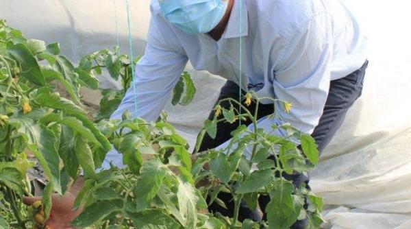 gheorghe stefan functie dubla in acelasi minister cum a prins pestele cel mare dupa partida de pescuit din maldive