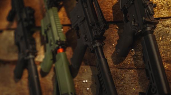 operatiune la nivel european cu 260 de perchezitii 1 534 de arme letale si neletale detinute ilegal au fost indisponibilizate