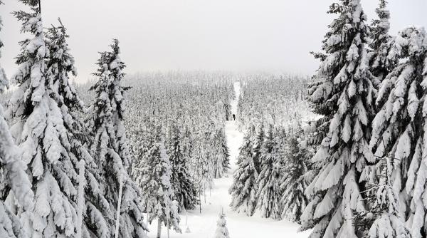 prognoza meteo 17 ianuarie   14 februarie  anm  informatii actualizate