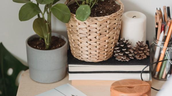 unele plante tipa cand sunt taiate spun cercetatorii