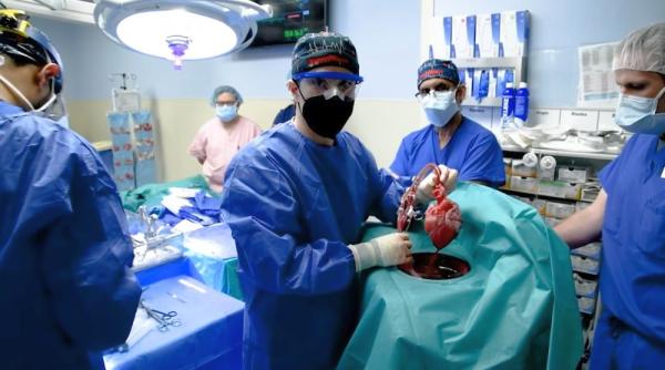 transplantul de inima de la porc la om cu dr radu deac si dr razvan iacob premiera mondiala dezbatuta la academia de sanatate