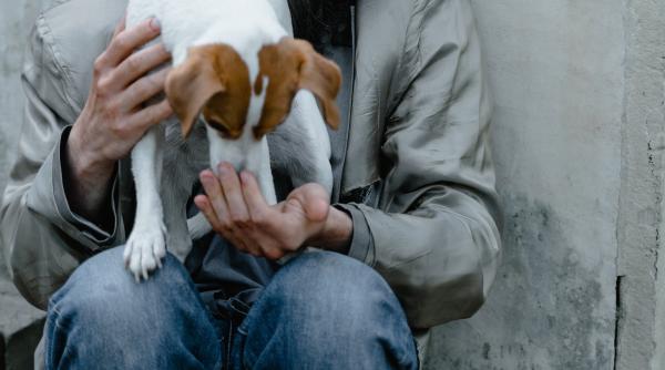 viata unui tanar fara adapost s a schimbat dupa un video in care isi sarbatoreste cainii cu tort si lumanari
