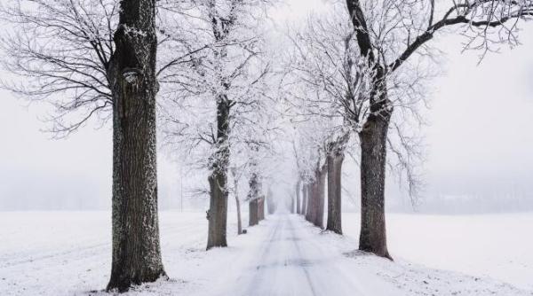 video vremea a facut prapad mii de oameni fara electricitate si zeci de drumuri blocate din cauza ninsorilor