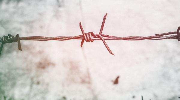 noi incidente la granita dintre polonia si belarus migrantii au aruncat cu pietre in politistii de frontiera video