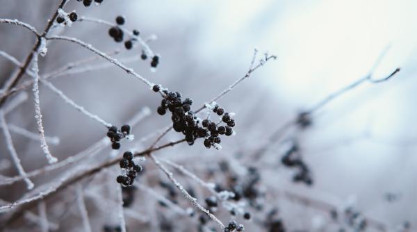 judetul sibiu polul frigului cea mai scazuta temperatura minus 20 de grade la dumbraveni cea mai mare zapada 2 2 m la balea lac