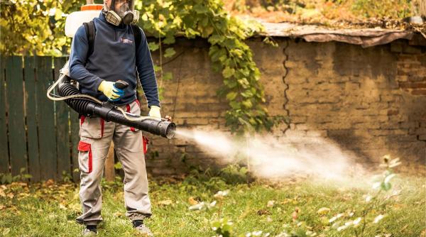apelati la servicii dezinsectie bucuresti si scapati rapid de problema insectelor daunatoare p