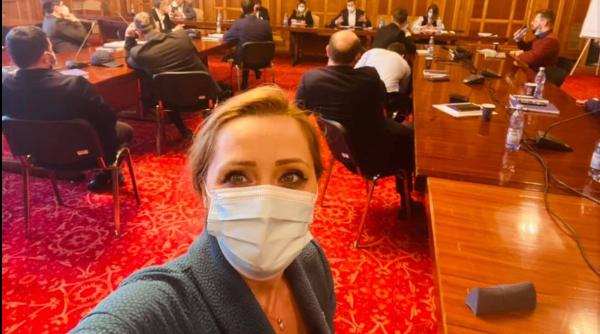 elena lasconi pentru mine consiliul judetean nu exista cand ii vad cum se bat cu pumnul in piept