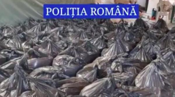 descinderi in calarasi aproape 2 5 tone de tutun au fost confiscate